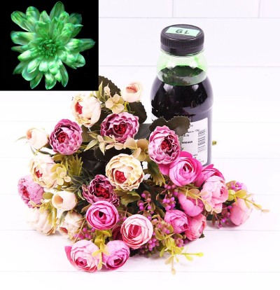 1400020 Краска для живых цветов Зелёная (№ 19) 300 мл 1/1