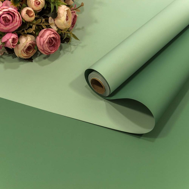 1604/2260 Плёнка 0,58*10м матовая двухсторонняя 65мкм Светло-зелёный/Зелёный 1/30 1604/2260 Плёнка 0,58*10м матовая двухсторонняя 65мкм Светло-зелёный/Зелёный 1/30