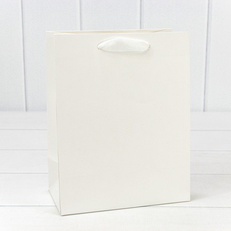 000200E Пакет подарочный Белый 18*23*10 230г 1/20 1/360 000200E Пакет подарочный Белый 18*23*10 230г 1/20 1/360