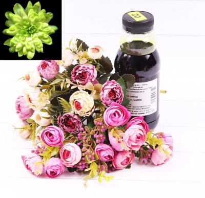 1400026 Краска для живых цветов Фисташковая 300 мл 1/1 