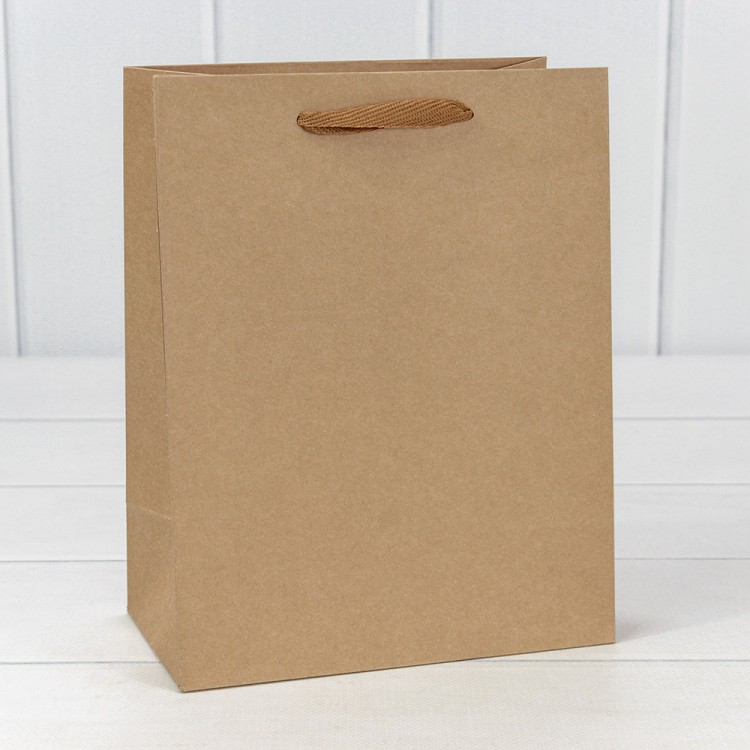 000221E Пакет подарочный Крафт "Люкс" 18*23*10 210г 1/20 1/360 